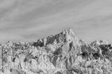 preview bw