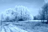 preview cold