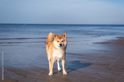 image to crop