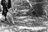 preview bw