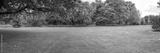 preview bw