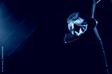 preview cold