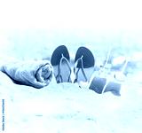 preview cold