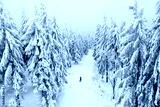 preview cold
