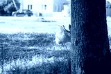 preview cold