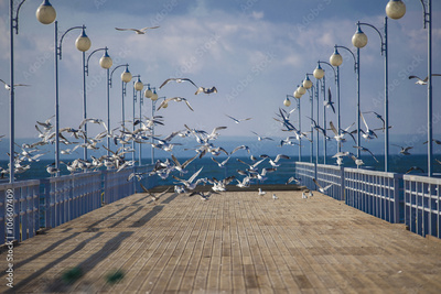 image to crop