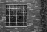 preview bw