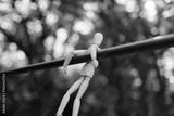 preview bw