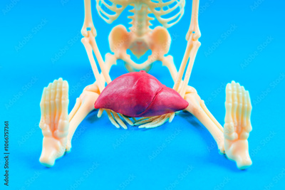 image to crop