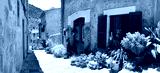 preview cold