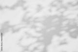 preview bw