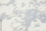 preview original