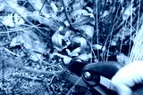 preview cold