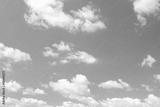 preview bw