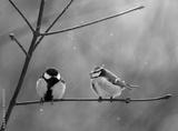 preview bw