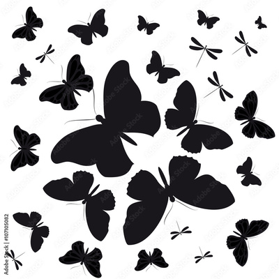 image to crop