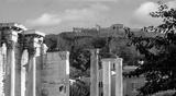 preview bw