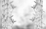 preview bw