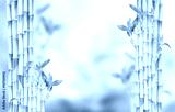 preview cold