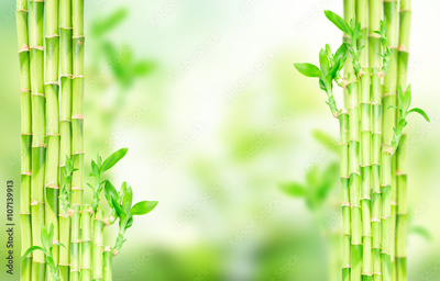 image to crop