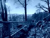 preview cold