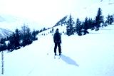 preview cold