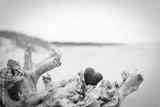 preview bw