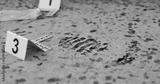 preview bw