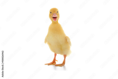 image to crop