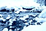 preview cold