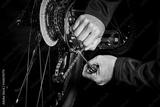 preview bw