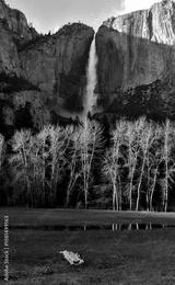 preview bw