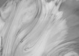 preview bw