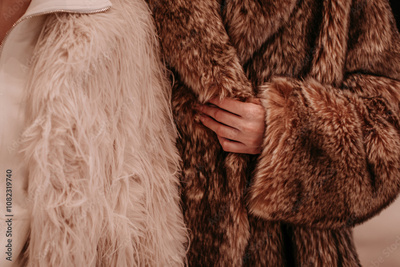 image to crop