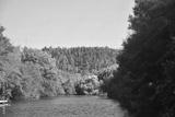 preview bw