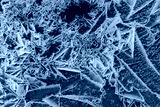 preview cold