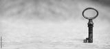 preview bw