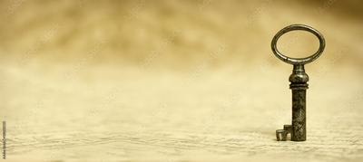 image to crop