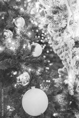 preview bw