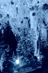 preview cold
