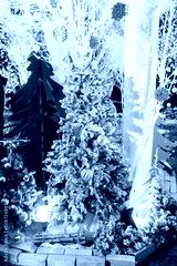 preview cold