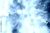 preview cold
