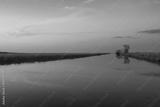 preview bw