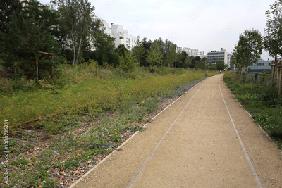image to crop