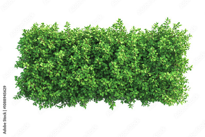 image to crop
