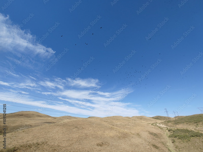 image to crop