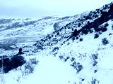 preview cold