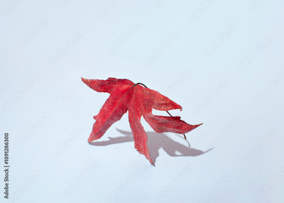 image to crop