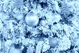 preview cold