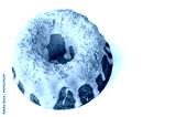 preview cold
